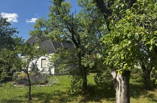 Haus kaufen in 2620 Neunkirchen, Wohnhaus inmitten vom Gartenparadies
