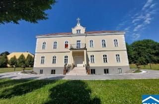 Wohnung mieten in Maurer Lange Gasse, 1230 Wien, Stilvolle 4-Zimmer-Wohnung in historischem Klostergemäuer an der Maurer Lange Gasse