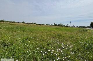 Grundstück zu kaufen in 7083 Purbach am Neusiedler See, sonniges Baugrundstück in ruhiger Lage in Purbach