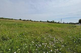 Grundstück zu kaufen in 7083 Purbach am Neusiedler See, sonniges Baugrundstück in ruhiger Lage in Purbach