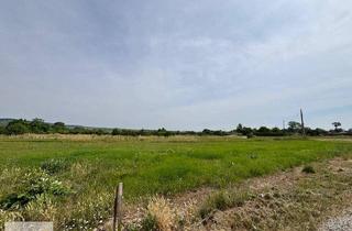 Grundstück zu kaufen in 7083 Purbach am Neusiedler See, sonniges Baugrundstück in ruhiger Lage in Purbach