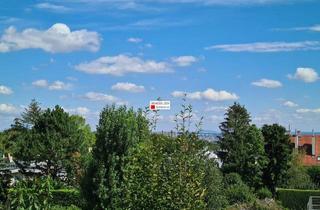 Wohnung mieten in 1230 Wien, SCHÖNE, KLEINE STARTWOHNUNG IN GRÜNLAGE