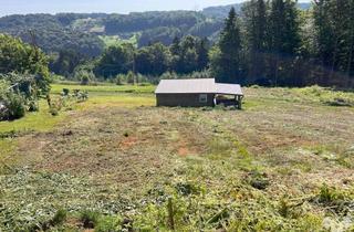 Grundstück zu kaufen in 8072 Fernitz, Großes, sonniges Baugrundstück in Hanglage bei Gnaning