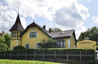 Villen zu kaufen in 3910 Zwettl-Niederösterreich, Exklusive Rarität - Villa mit traumhaftem Garten und Ordination in Zwettl