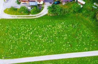 Grundstück zu kaufen in 6275 Stumm, Wunderschönes Baugrundstück in Stumm im Zillertal