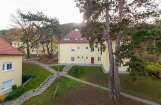 Wohnung kaufen in 2340 Mödling, ANLEGERHIT IN MÖDLING - 3-ZIMMER-WOHNUNG IM DACHGESCHOSS MIT GRÜNBLICK