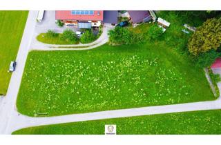 Grundstück zu kaufen in 6275 Stumm, Wunderschönes Baugrundstück in Stumm im Zillertal