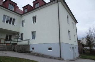 Wohnung mieten in 8630 Mariazell, UNBEFRISTET! Schöne, gemütliche Wohnung in top Lage!
