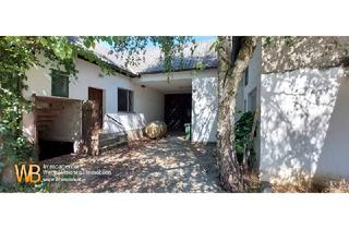 Haus kaufen in 2473 Potzneusiedl, Haus mit Wirtschaftsgebäuden, großem Innenhof und Stadl, sanierungsbedürftig