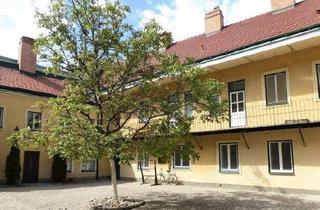 Wohnung mieten in 2700 Wiener Neustadt, Gepflegte Mietwohnung in ruhiger Innenhoflage direkt in der Fußgängerzone von 2700 Wiener Neustadt