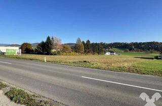Grundstück zu kaufen in 8152 Stallhofen, Sonnige Baugrundstücke am Ortsrand von Stallhofen - Ihr Platz zum Leben!