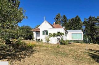Einfamilienhaus kaufen in 8384 Minihof-Liebau, Charakterhaus mit Designanspruch auf großzügigem Grundstück