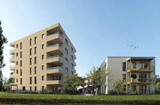 Wohnung mieten in 2700 Wiener Neustadt, ERSTBEZUG! 2-Zimmer-Wohnung mit Balkon, Top 20