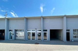 Lager mieten in 4614 Marchtrenk, ZU MIETEN: Moderne Gewerbehalle in Marchtrenk!