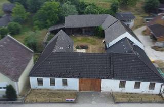 Bauernhäuser zu kaufen in 3384 Haunoldstein, Bauernhaus auf großem Grund - Sanierungsobjekt mit Potenzial