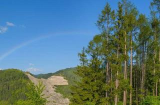 Einfamilienhaus kaufen in Oberhöhe, 3172 Ramsau, Grünruhelage mit traumhaftem Ausblick