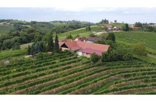 Haus kaufen in 8490 Bad Radkersburg, IN SLOWENIEN - Weingut in der berühmten Weinbauregion JERUZALEM