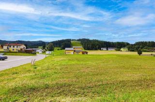 Grundstück zu kaufen in 8742 Obdach, Wohn-Baugrund: Großzügige Bebauungsdichte bis 0,5 mit Top-Infrastruktur in Obdach.