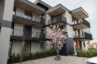 Wohnung kaufen in 2481 Achau, BEL AIR Premium Achau- Home Office Deluxe- DESIGN PUR, in nur 20 Min. sind Sie am Hbf. Wien