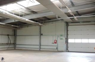 Büro zu mieten in 7343 Neutal, Zur Vermietung gelangt eine Lagerhallefläche von ca. 400 m² bis 2500 m² in Neutal.