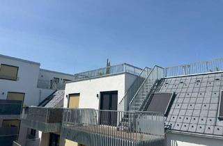 Wohnung mieten in Kirchenplatz, 1230 Wien, Spät-Sommer auf der großen Dachterrasse genießen - Nähe Kirchenplatz Atzgersdorf.