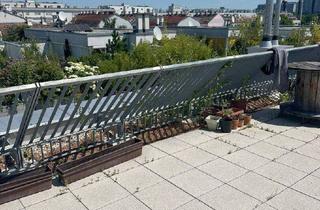 Wohnung mieten in Kirchenplatz, 1230 Wien, Spät-Sommer auf der großen Dachterrasse genießen - Nähe Kirchenplatz Atzgersdorf.