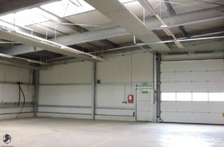 Büro zu mieten in 7343 Neutal, Zur Vermietung gelangt eine Lagerhallefläche von ca. 400 m² bis 2500 m² in Neutal.
