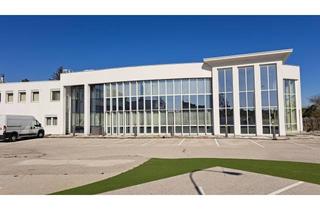 Immobilie mieten in 2751 Steinabrückl, MODERNES GEWERBEOBJEKT - für VIELFÄLTIGE Möglichkeiten