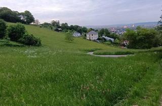 Grundstück zu kaufen in Meynertgasse, 3400 Klosterneuburg, Grünland mit Weitblick und Zukunft