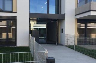 Wohnung mieten in Karl-Nieschlag-Gasse, 1210 Wien, 2-Zimmer Wohnung Nähe Alte Donau