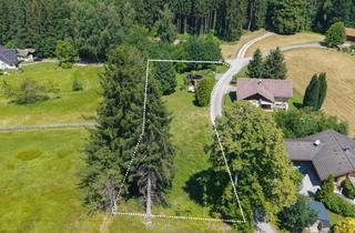 Grundstück zu kaufen in Kogl, 4656 Kirchham, Idyllisches Feriengrundstück mit kleinem Häuschen in absoluter Ruhelage