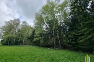 Immobilie kaufen in 5162 Obertrum am See, Grünland mit angrenzendem Waldstück in sonniger Lage - Obertrum am Haunsberg