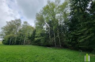 Immobilie kaufen in 5162 Obertrum am See, Grünland mit angrenzendem Waldstück in sonniger Lage – Obertrum am Haunsberg