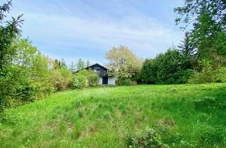 Einfamilienhaus kaufen in Waldparkweg, 3413 Hintersdorf, HAUS zu SANIEREN mit GARTEN im Wienerwald