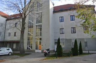 Wohnung mieten in 2483 Ebreichsdorf, Sonnige Wohnung- Nähe Zentrum und dem Bahnhof- in nur 16 Minuten mit der S-Bahn zur U6 Wien Meidling