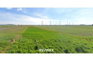 Gewerbeimmobilie kaufen in 2404 Petronell-Carnuntum, Ortsrandlage 2 Grundstücke mit ~ 2 ha 6,5 € / m² FP