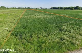 Gewerbeimmobilie kaufen in 2404 Petronell-Carnuntum, Ortsrandlage 2 Grundstücke mit ~ 2 ha 6,5 € / m² FP