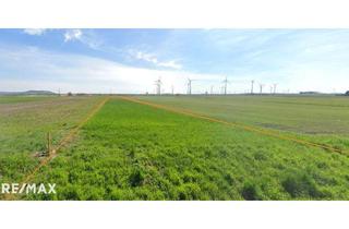 Gewerbeimmobilie kaufen in 2404 Petronell-Carnuntum, Ortsrandlage 2 Grundstücke mit ~ 2 ha 6,625 € / m² FP