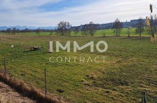 Gewerbeimmobilie kaufen in 4671 Neukirchen bei Lambach, Schöne landwirtschaftliche Flächen in Neukirchen bei Lambach im Ausmaß von ca. 16.400 m²