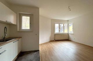 Wohnung mieten in Sarmingstein, 4382 Sarmingstein, KLEINE PREISWERTE 2 ZIMMER WOHNUNG IN SARMINGSTEIN