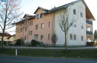 Wohnung mieten in Unterwegbach 9b, 4730 Waizenkirchen, Objekt 441: 3-Zimmerwohnung in 4730 Waizenkirchen, Unterwegbach 9b, Top 7