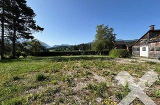 Grundstück zu kaufen in 8983 Bad Mitterndorf, Leistbares Baugrundstück mit Potential! Kaufanbot vorhanden!