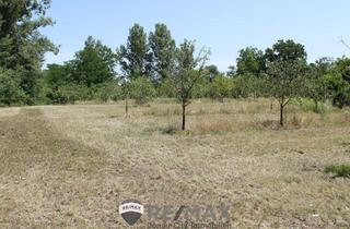 Grundstück zu kaufen in 2011 Sierndorf, "Bauland Sondergebiet für Gastro oder Freizeit!"