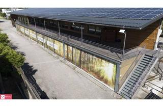 Gewerbeimmobilie kaufen in Neckreith, 5163 Palting, #Halle #Schauraum #Büro #Werkstatt #Lager #Salzburg in 30 Minuten #JETZT KAUFEN!