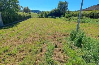 Grundstück zu kaufen in 3383 Schlatzendorf, Ein guter Grund weiterzulesen.....