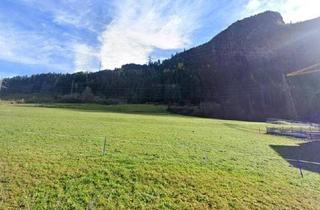 Grundstück zu kaufen in 5710 Kaprun, Baugrund in sehr ruhiger Lage von Kaprun - 500 m²