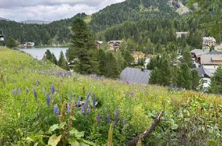 Grundstück zu kaufen in 9565 Ebene Reichenau, Turracher Höhe - Baugrundstück für eine kleine Apartmentanlage - DIREKT bei der Piste und der Talstation "Panoramabahn"
