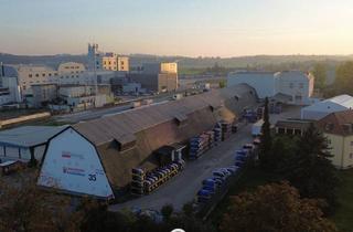 Lager mieten in 4470 Enns, 700m² Lagerhalle in Enns zu vermieten!