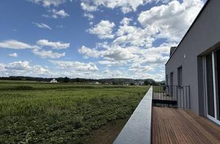 Wohnung mieten in 8472 Straß in Steiermark, 78M2 | ERSTBEZUG | KELLERABTEIL | BALKON