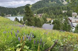 Grundstück zu kaufen in Turracherhöhe, 9565 Turracherhöhe, Turracher Höhe - Baugrundstück für eine kleine Apartmentanlage - DIREKT bei der Piste und der Talstation "Panoramabahn"